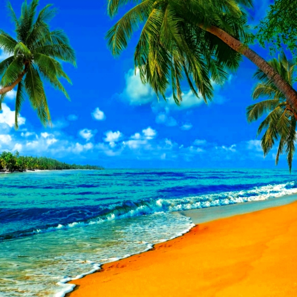 Meet your Posher, Dannay